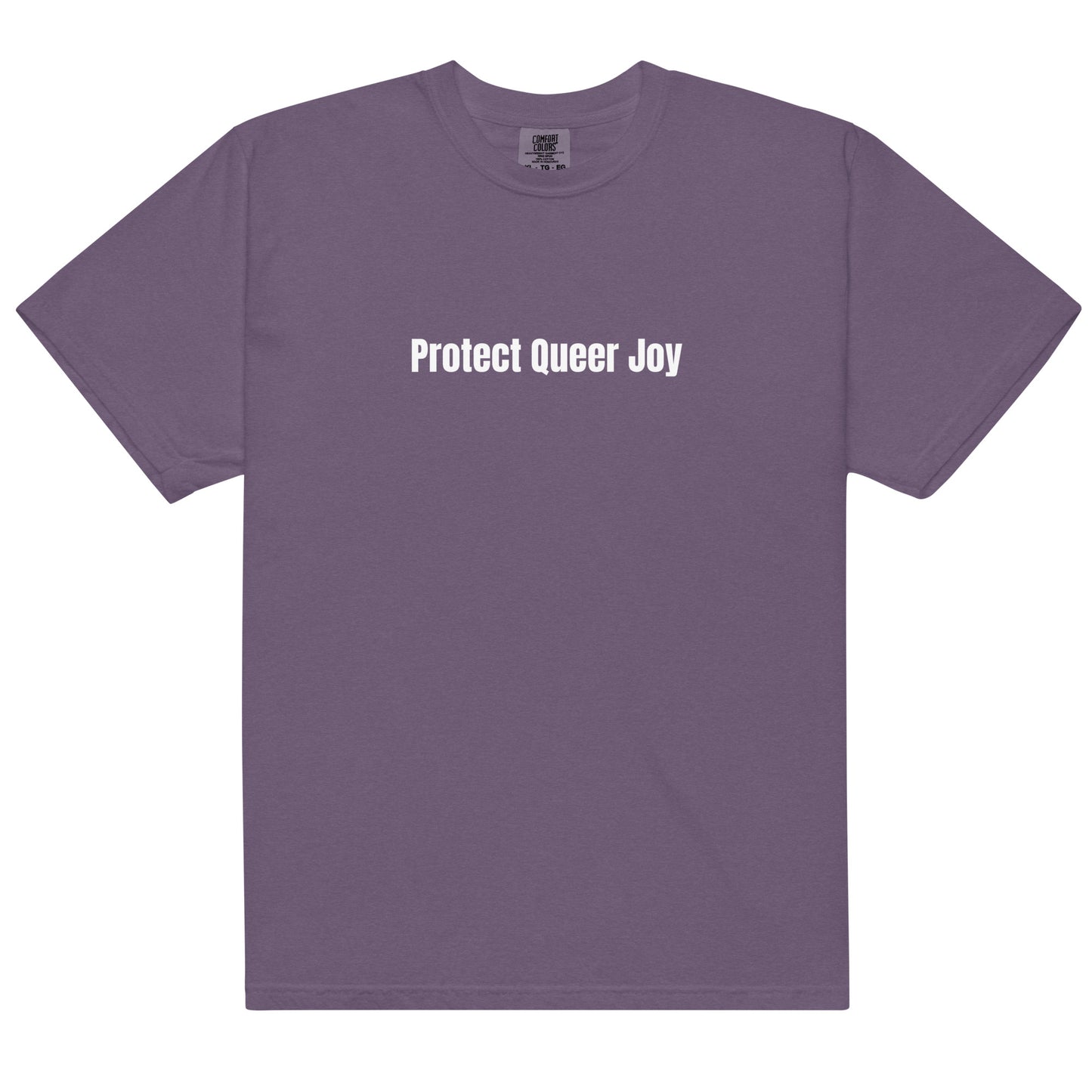 Grape t-shirt with 'Protect Queer Joy' text on a white background
