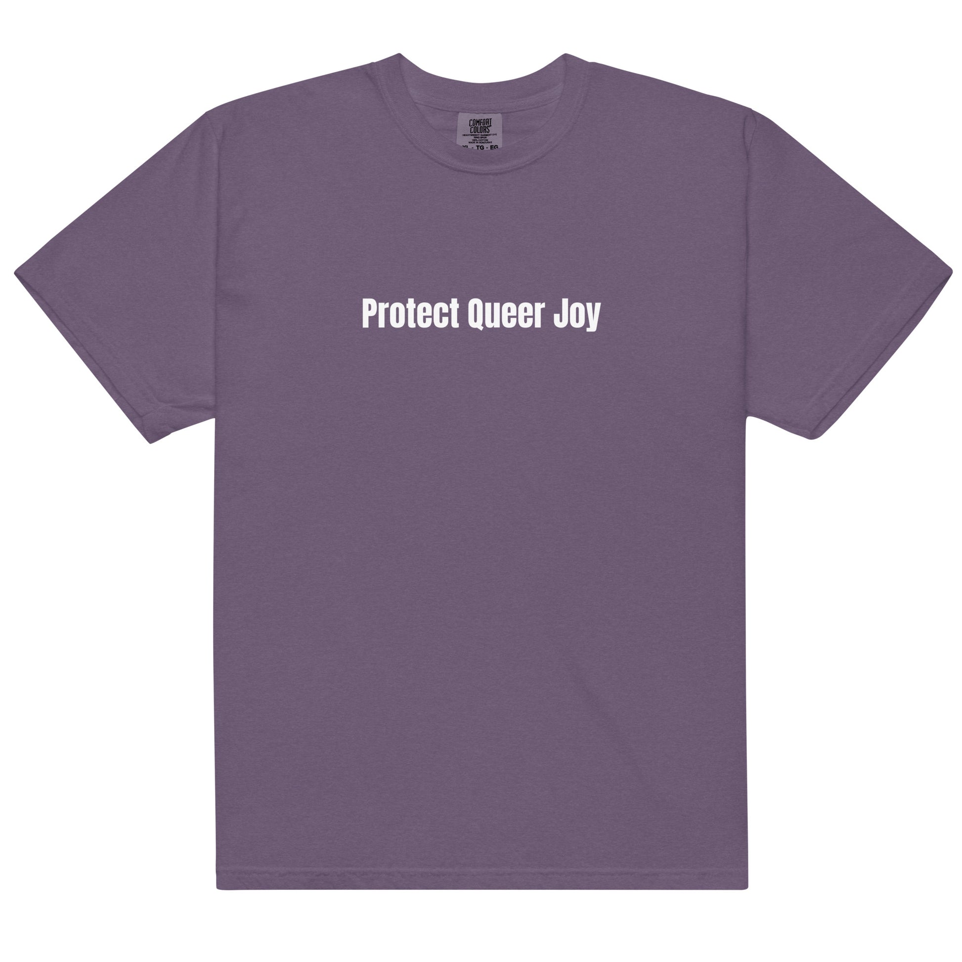 Grape t-shirt with 'Protect Queer Joy' text on a white background